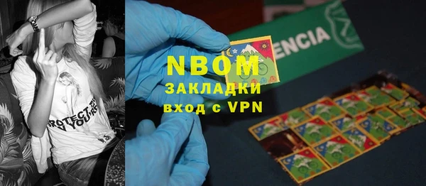 PSILOCYBIN Алзамай