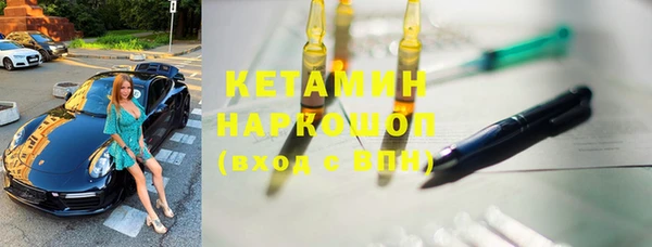 индика Алексин