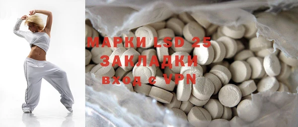 PSILOCYBIN Алзамай