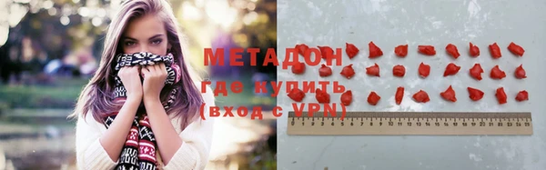 индика Алексин