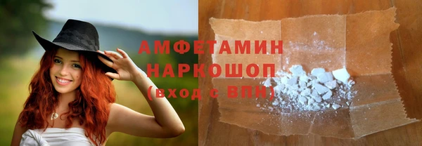 индика Алексин