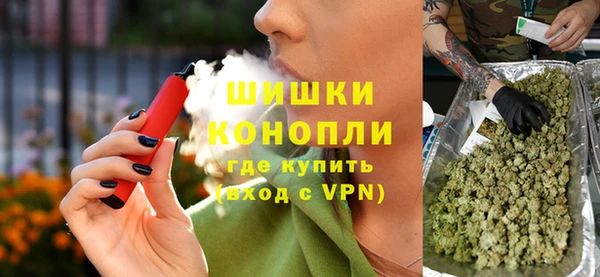 PSILOCYBIN Алзамай