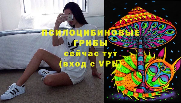 PSILOCYBIN Алзамай