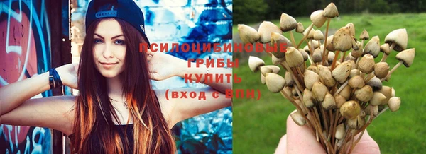 крисы Армянск
