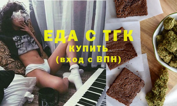 индика Алексин