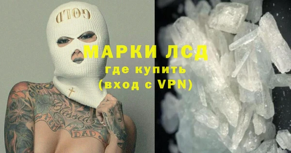 PSILOCYBIN Алзамай