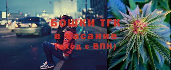 PSILOCYBIN Алзамай