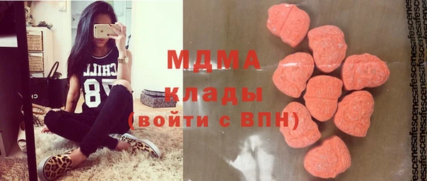 PSILOCYBIN Алзамай