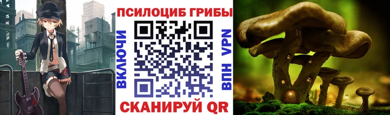 Галлюциногенные грибы Psilocybe  мега онион  Мантурово 